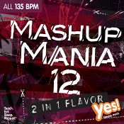 MASHUP MANIA VOL 12